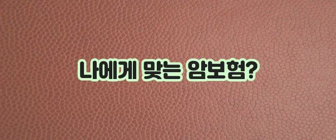 암보험 비교 사이트를 통해 비갱신형 암보험을 준비하세요.