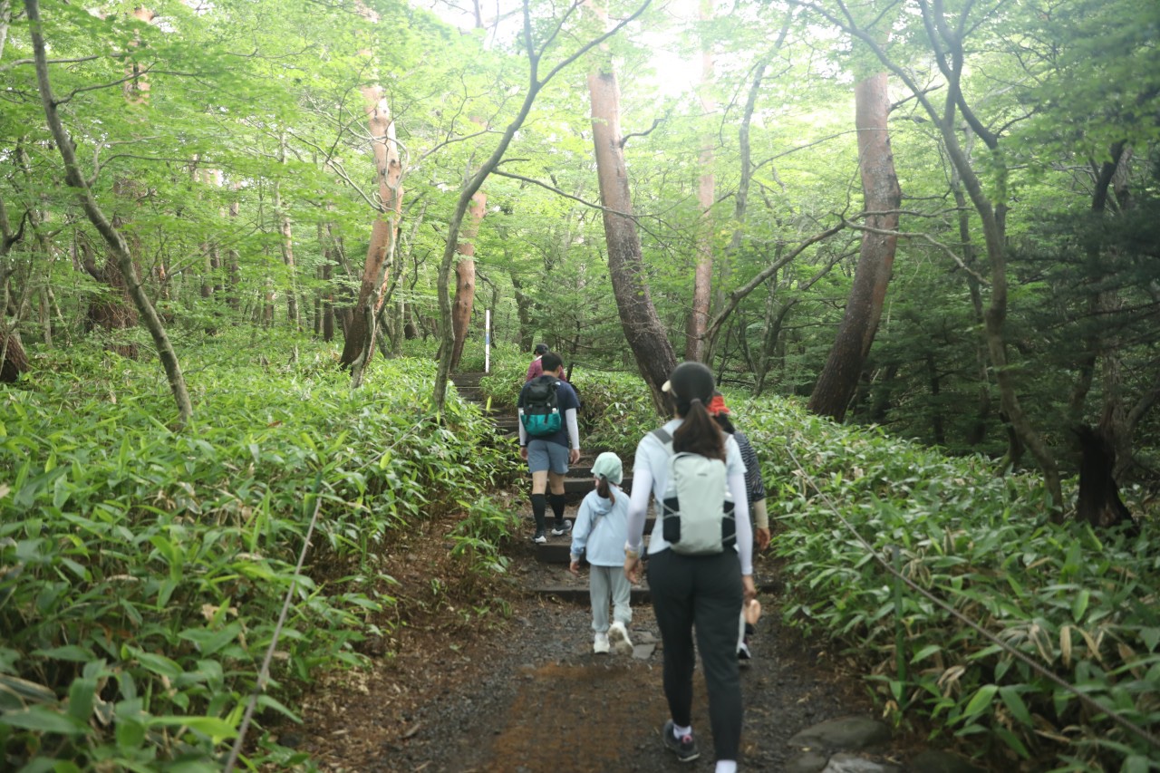 초등학생 아이와 함께 한라산 등반 등산 준비물 영실코스