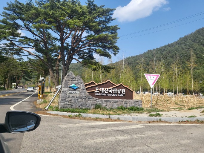 대체텍스트