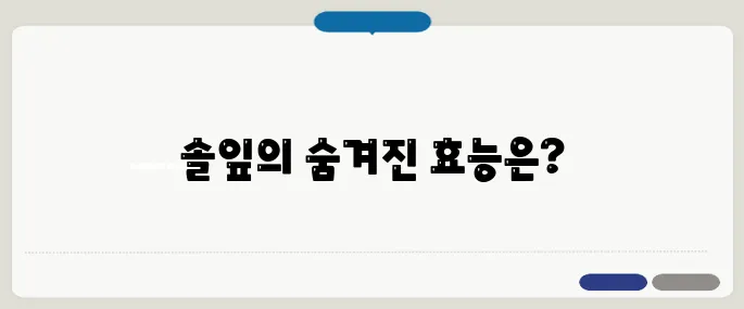 솔잎 효능 확인하기 폐 건강과 면역력에 도움된다고 해요