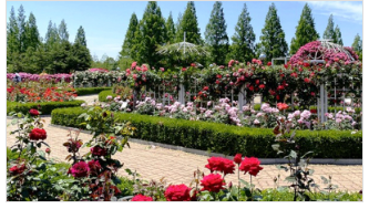 2024 고양 국제꽃박람회 -8