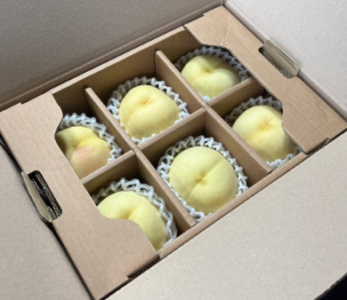 대전 베리 팜 설아복숭아