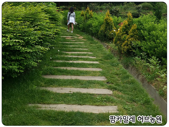 팜카밀레 허브농장, 길