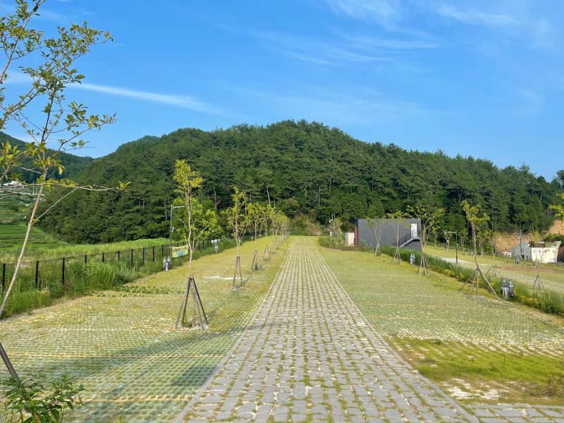 상족암캠핑장_사이트