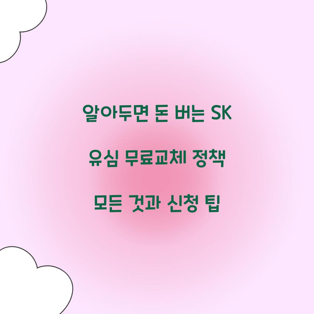 알아두면 돈 버는 SK 유심 무료교체 정책의 모든 것