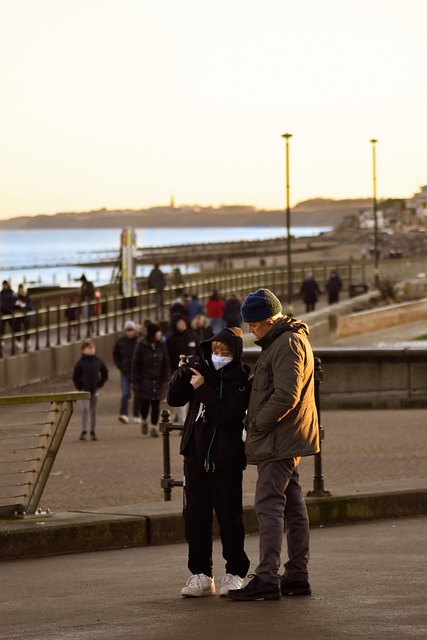가정에서 키우기 좋은 반려식물 추천