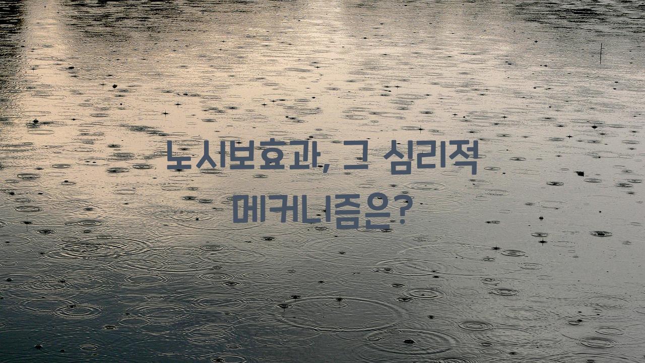 노시보효과