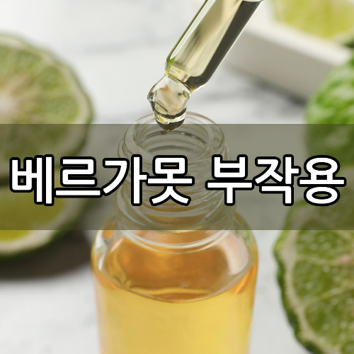 베르가못 부작용