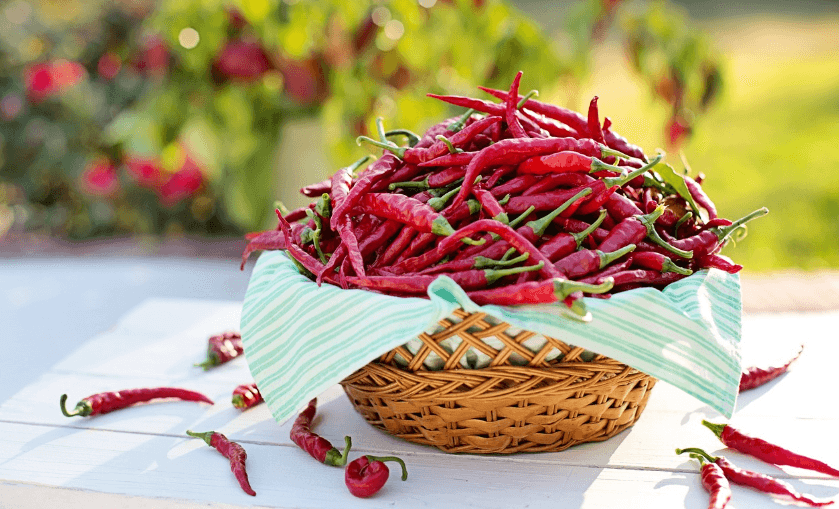 대추고추장 관련 이미지