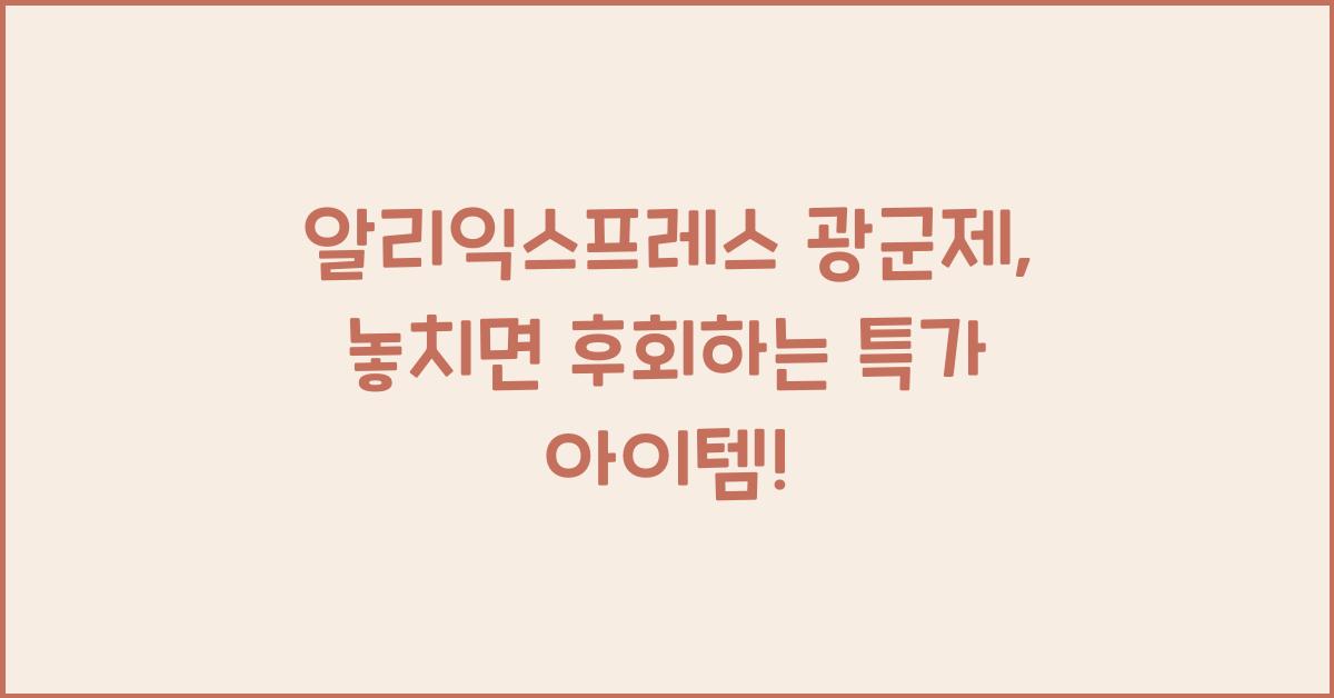 알리익스프레스 광군제