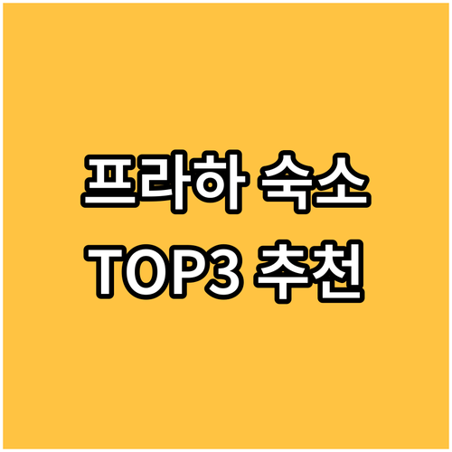 프라하 아파트식 호텔 TOP3 주방,