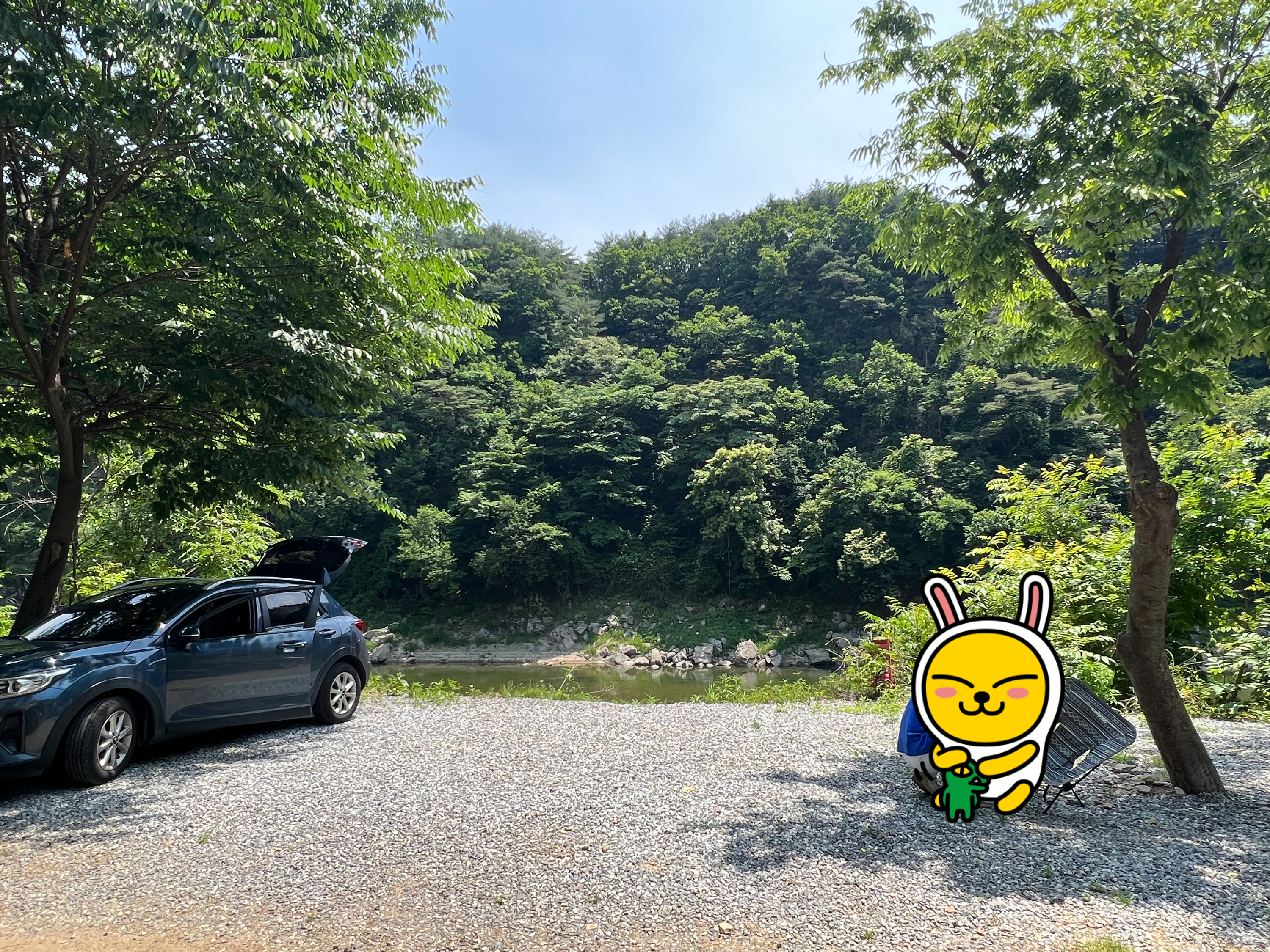 사이트