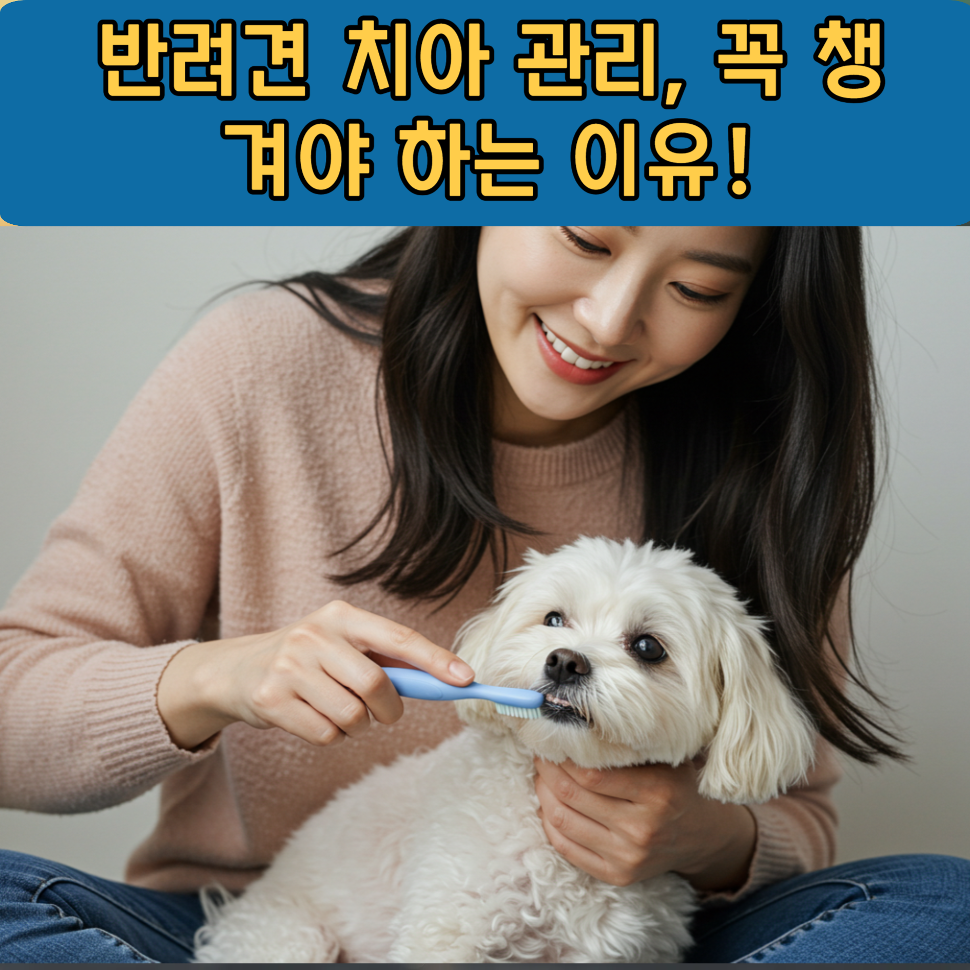 반려견 치아 관리