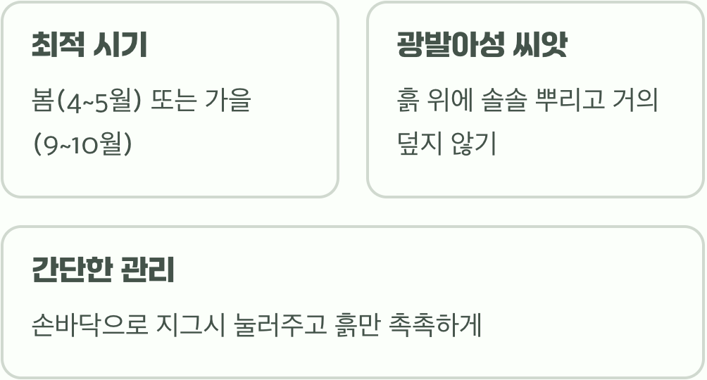 씨앗의 첫 숨결&amp;#44; 파종의 타이밍