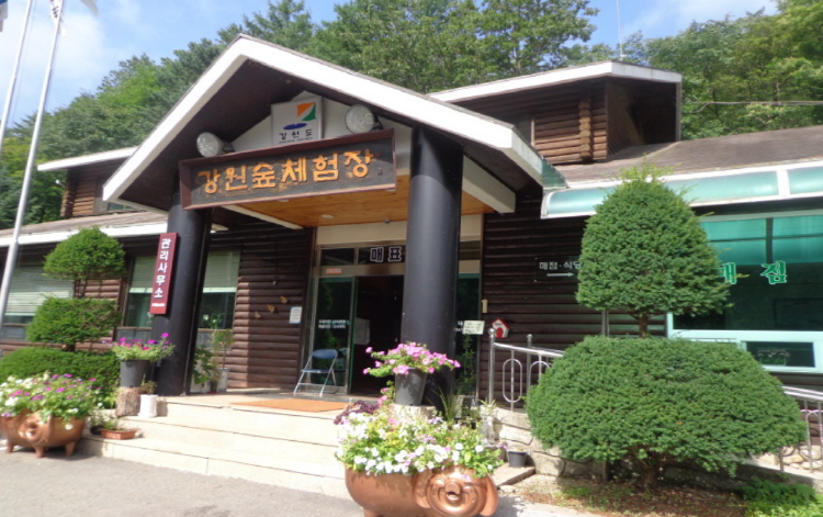 강원 숲체험장