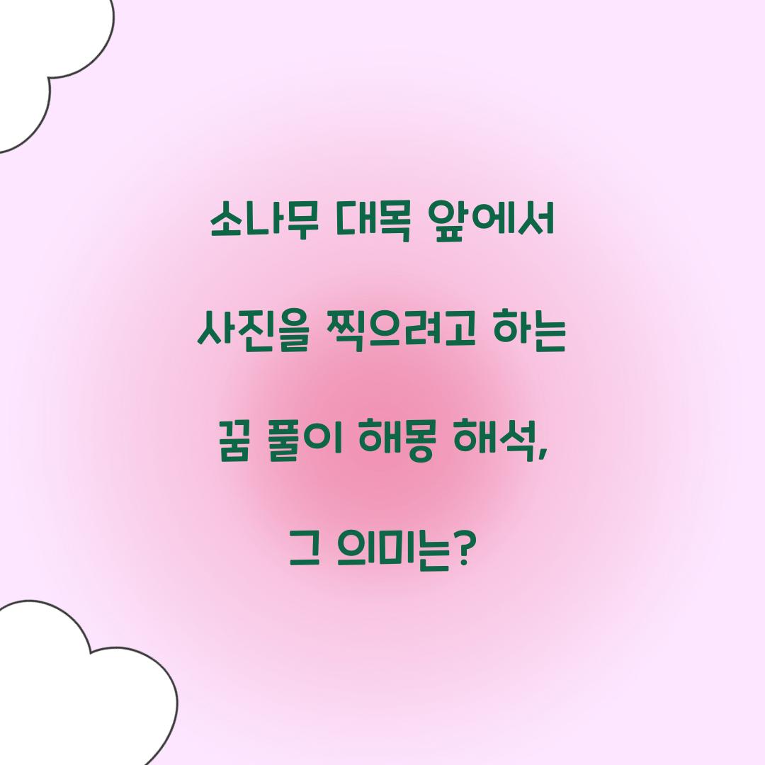 소나무 대목 앞에서 사진을 찍으려고 하는 꿈 풀이 해몽 해석