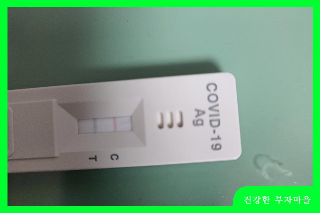 전문가용 신속항원검사