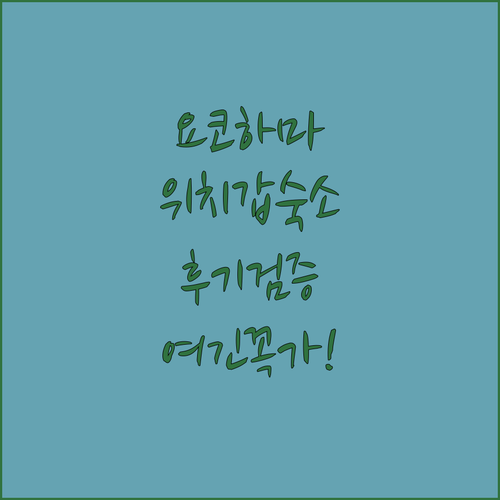 요코하마 호텔 위치 좋은 숙소 5곳 ..