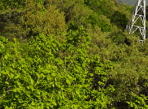 팔공산 케이블카 예약