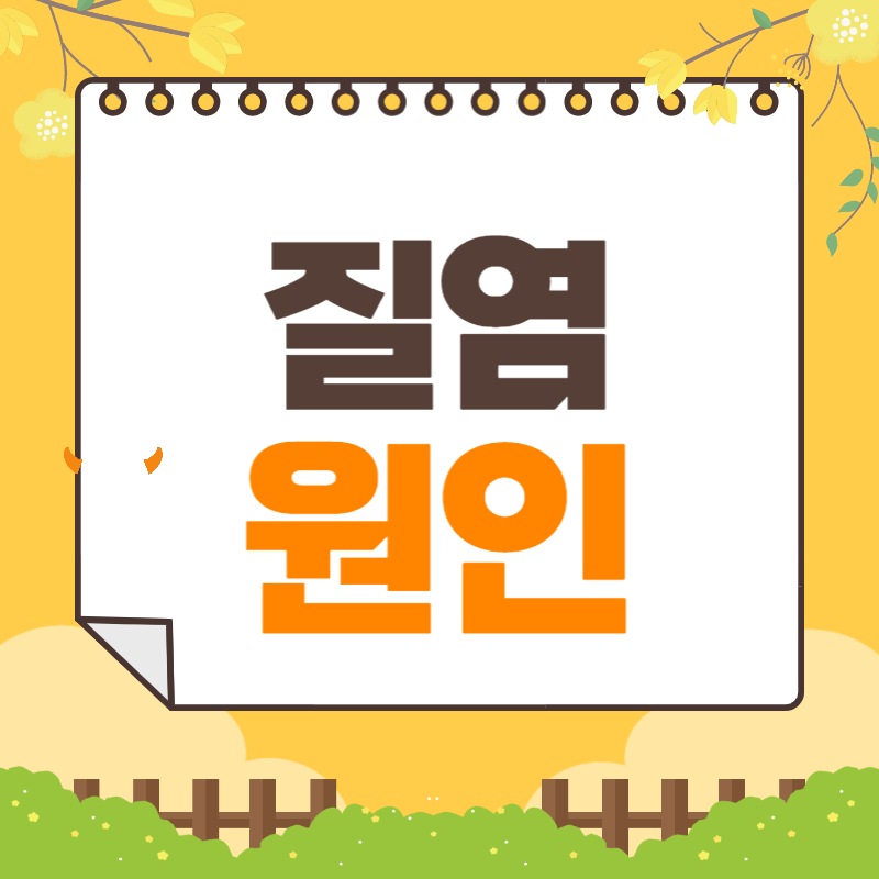 질염 원인