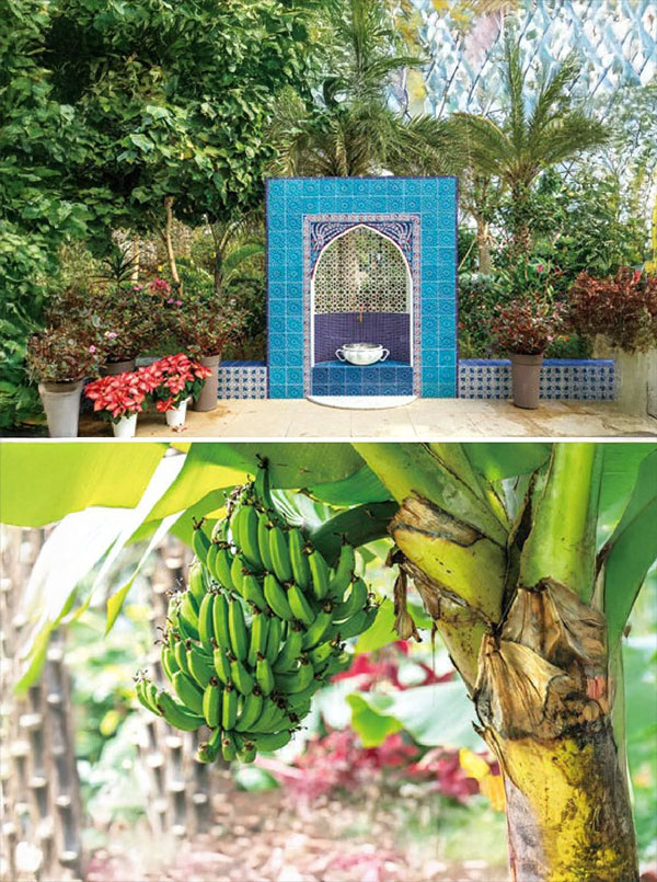 서울식물원 온실 열대관 내부