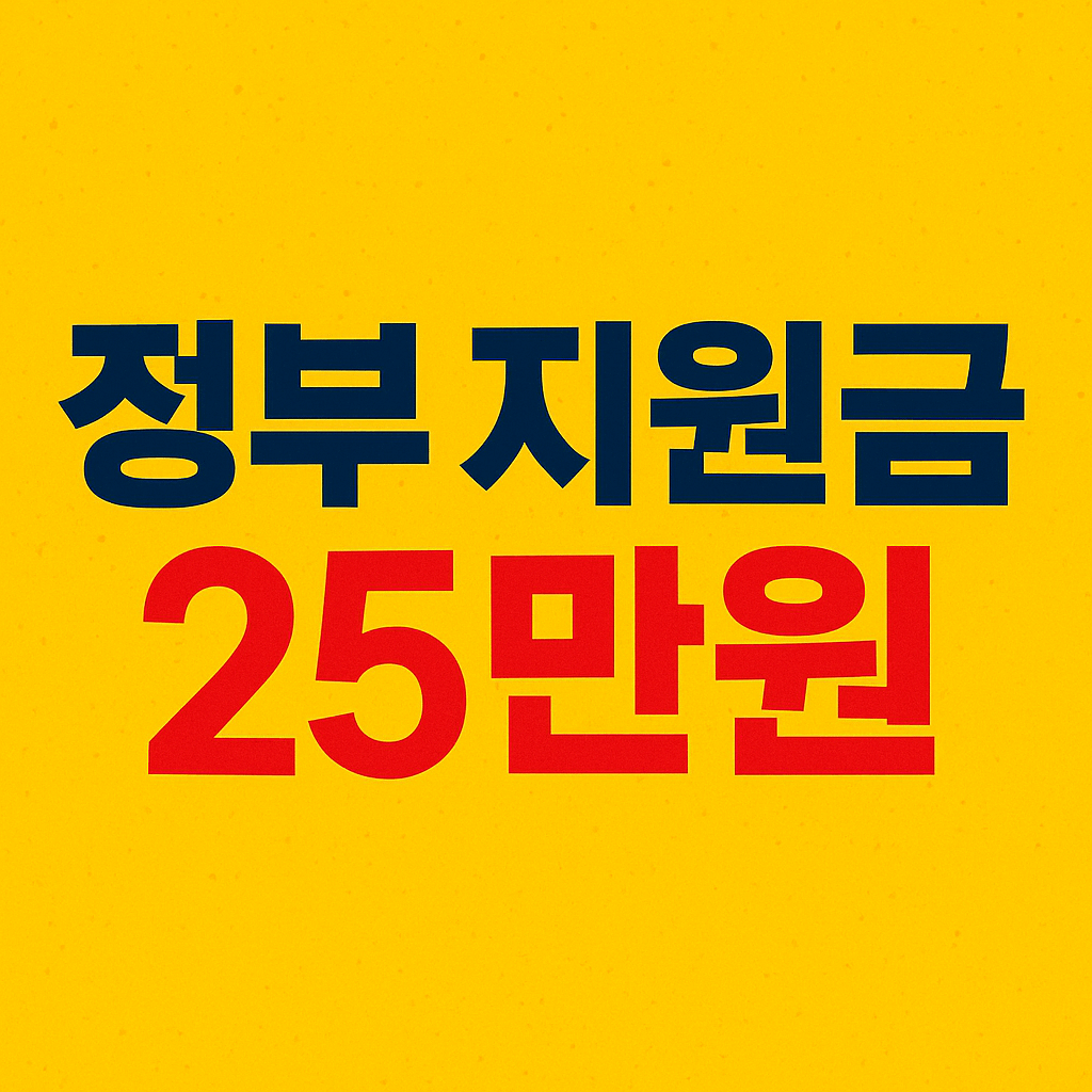정부 지원금 25만원