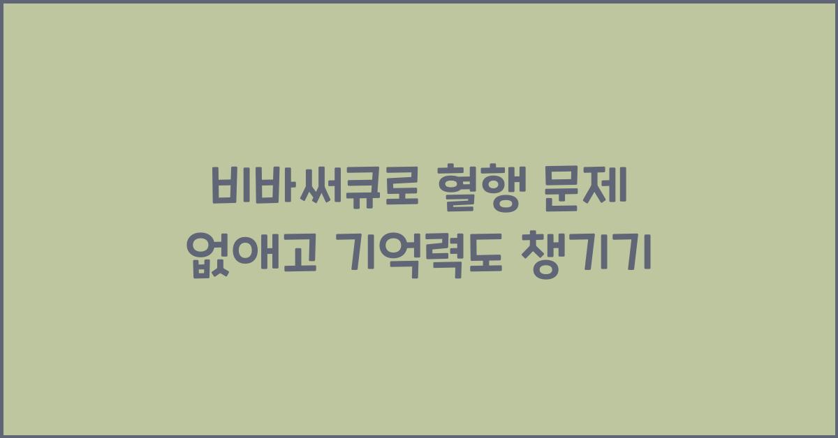 비바써큐