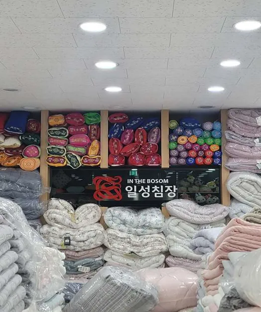 일성침장