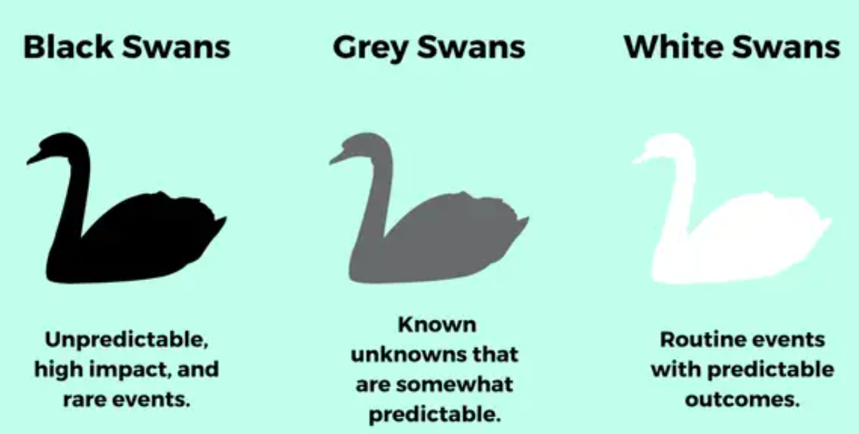 화이트 스완의 개념