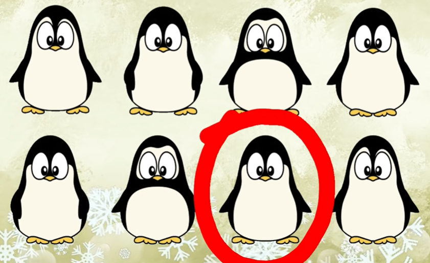 같은 그림 찾기 정답