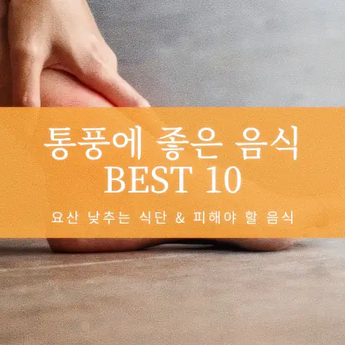 통풍에 좋은 음식 BEST 10