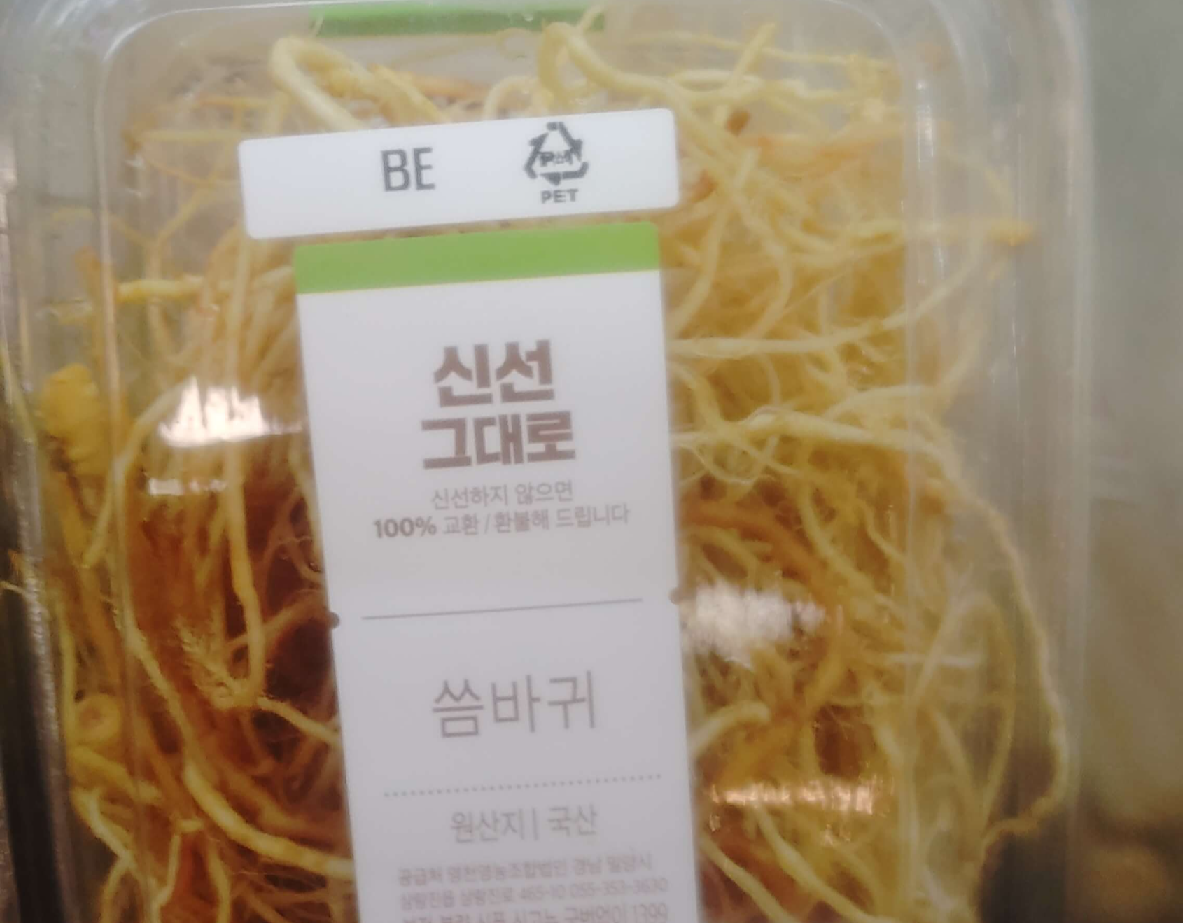 씀바귀