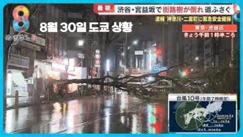 일본-태풍-오사카-도쿄-홋카이도-태풍-산산-영향-항공편-결항-지연-보상-일본-출발-도착-항공기-실시간-확인-태풍-대비-여행-준비물