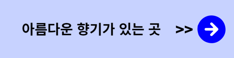 여행-갈만한곳-여름휴가