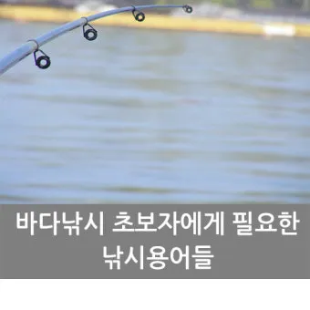 낚시 즐거움 두 배 초보자를 위한 바다낚시 기본 팁_2