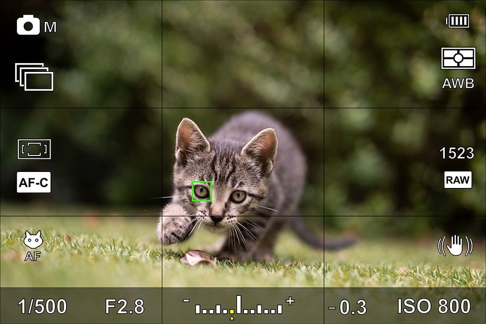 Apa itu ISO dalam Fotografi? Apa Fungsinya?