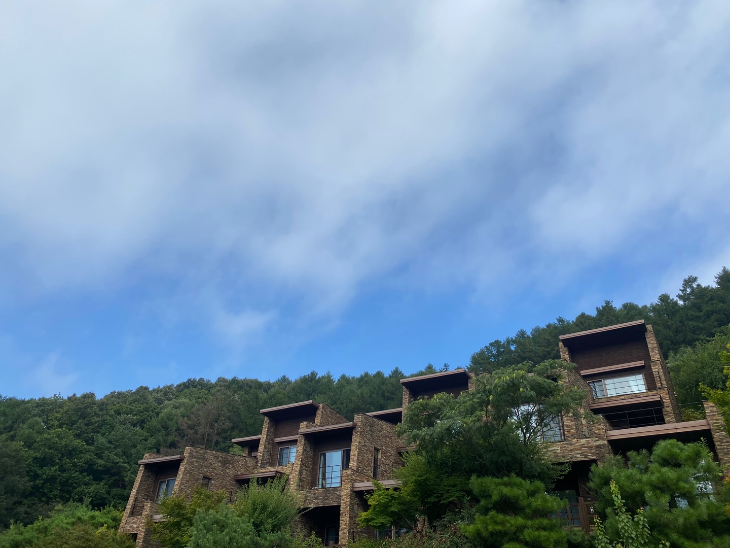 리솜 포레스트 레스트리 VS 빌라형 객실 비교 분석! 완벽한 선택을 위한 꿀팁 (+ 뷰 좋은 객실 정보)