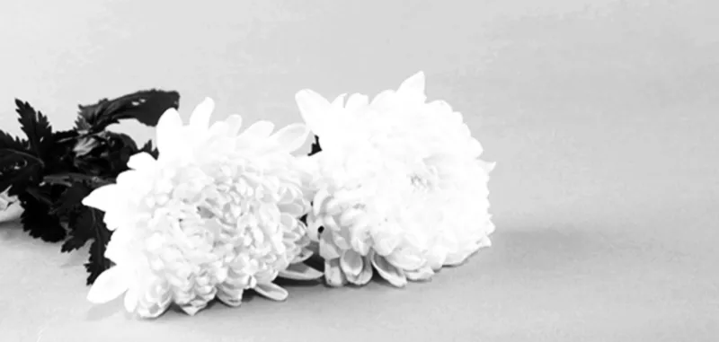 조의 인사말 모음 예시 메일_9