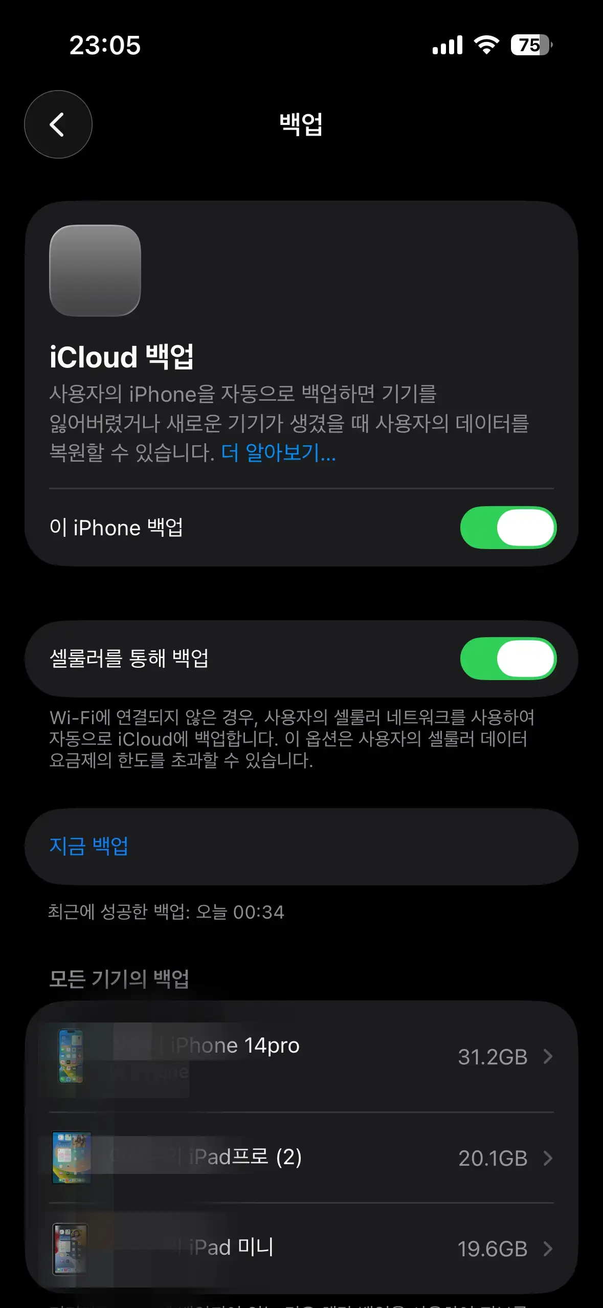 아이클라우드 백업 목록 - 아이폰14프로 31GB 아이패드프로 20GB 아이패드미니 19GB