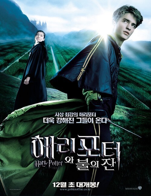 영화-해리포터와 불의잔-포스터