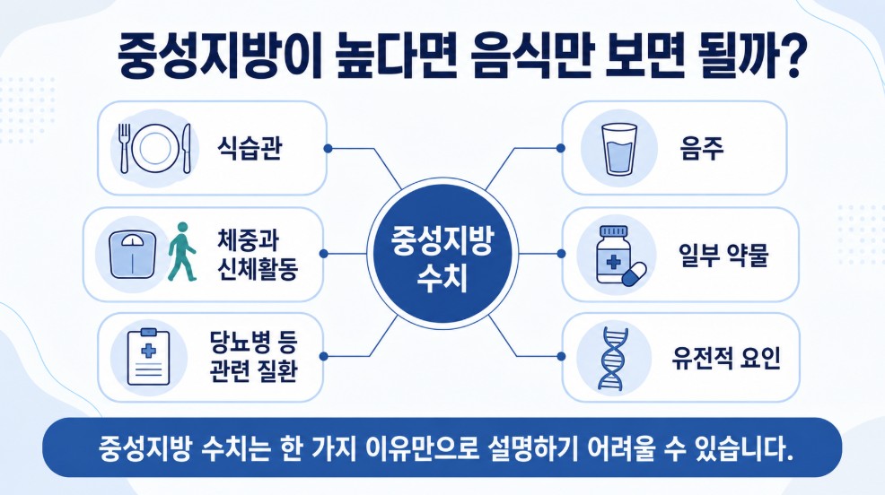 중성지방 수치가 높게 나타나는 데 식습관 음주 신체활동 질환 약물 등 여러 요인이 관련될 수 있다는 설명