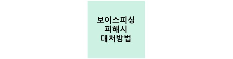 보이스피싱 피해 시 대처방법