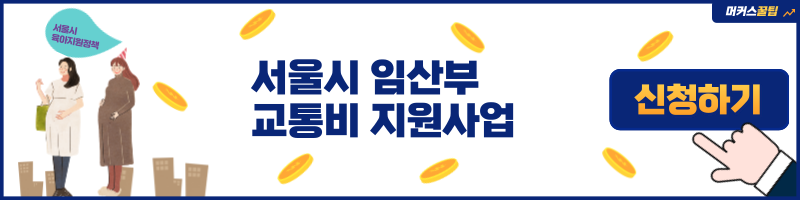 서울시임산부교통비지원사업