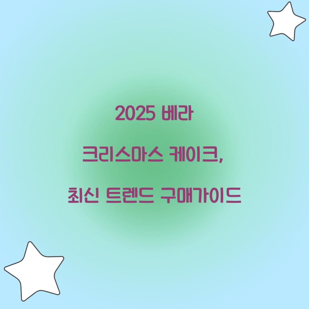 2025 베라 크리스마스 케이크