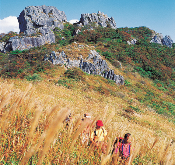 2024 가을 여행지 단풍 명소 추천