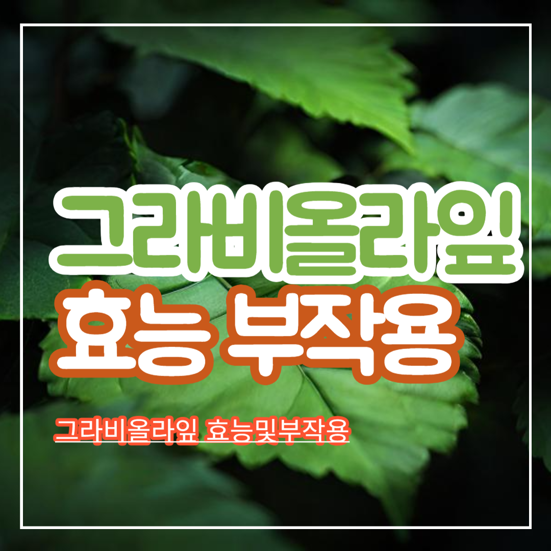 그라비올라잎_효능및부작용