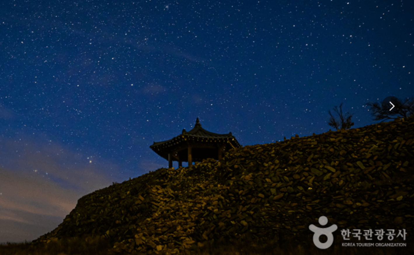 강원도 겨울 반려동물 애견 동반 여행지 추천