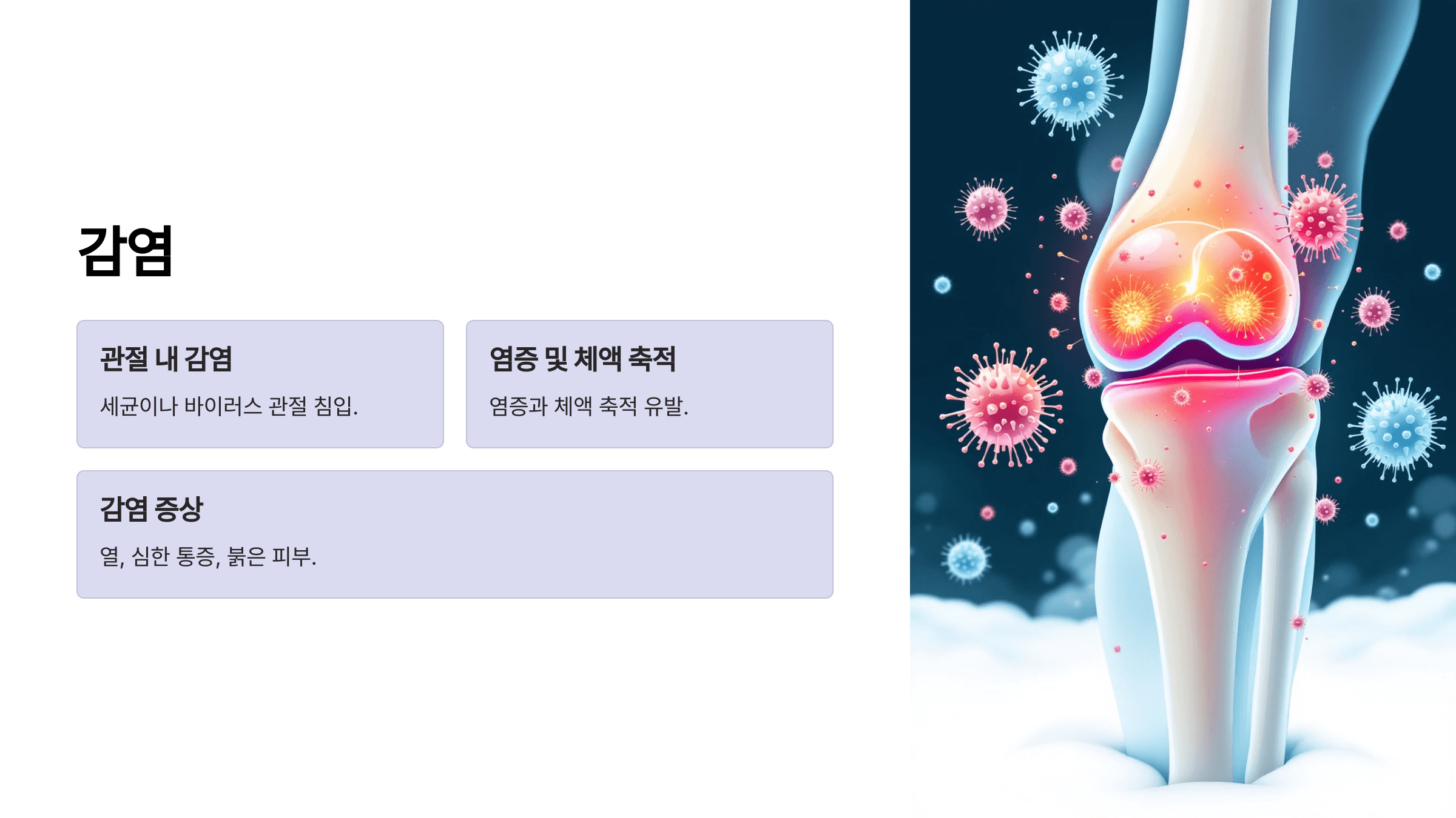 무릎과 관련된 사진입니다.