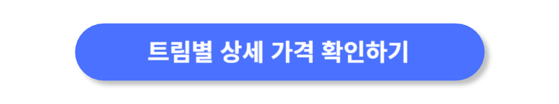 버튼