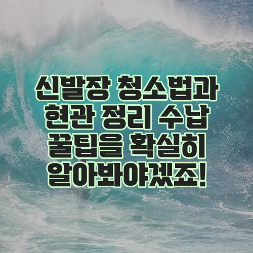 신발장 청소법과 현관 정리 수납 꿀팁을 확실히 알아봐야겠죠!